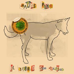 No te vas a disfrazar nunca mas