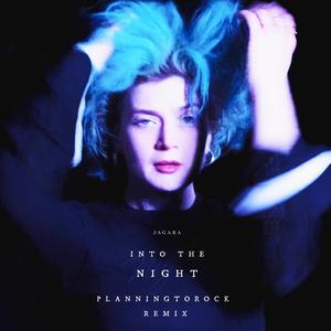Into the Night (Planningtorock's 'Planningintothenight' Version) (feat. Planningtorock)