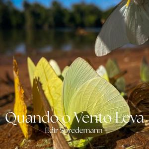 Quando o Vento Leva