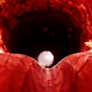 井中月，甯同学