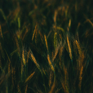 White Noise - 14kHz, Pt. 05