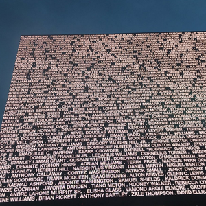 Hashtag (F*** Yo Privilege)