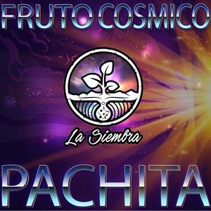 Pachita