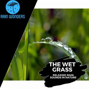 Involuntary Heavy Rain