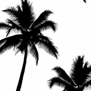 丘比特也会判刑