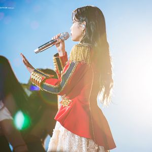 Palette，日记，在流金的日子里