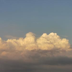 一厢情愿的不舍（Cover 《那年花开月正圆》）