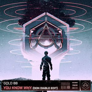 You Know Why (Don Diablo Edit)