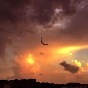 手掌这么大 握不住的东西太多了（BGM版）