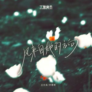 风来自她的方向（DJ版）