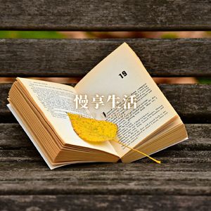 慢节奏之旅 (咖啡馆旋律)