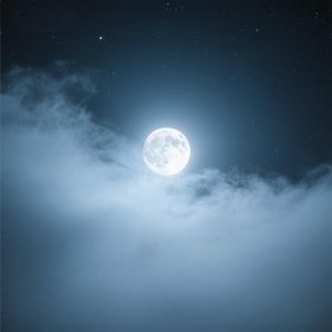 细雨轻柔似梦语