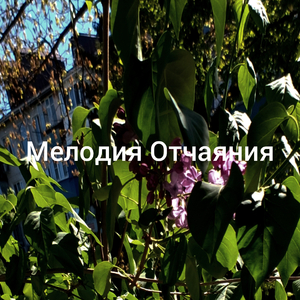 Рассвет