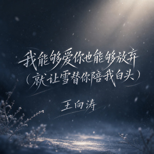 我能够爱你也能够放弃(就让雪替你陪我白头)