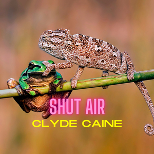 Shut Air