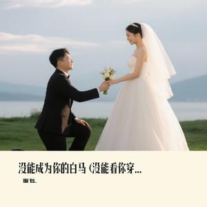 没能成为你的白马 (没能看你穿上婚纱)（面包. Remix）