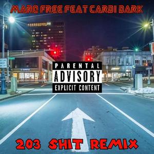 203 Shit (feat. Cardi Dark) (REMIX)