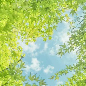 点绛唇·闲倚胡床