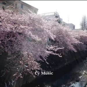 don't worry.“free beat”浪漫|自由|安静