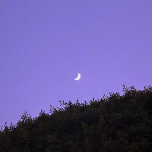 你是我的女朋友