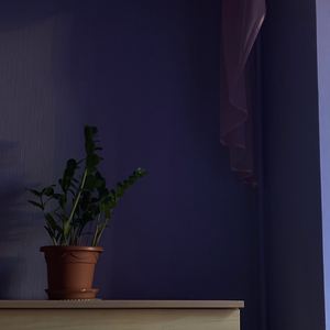 Туда, где солнце