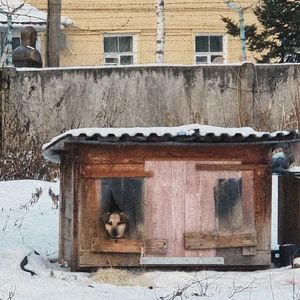 Аморал