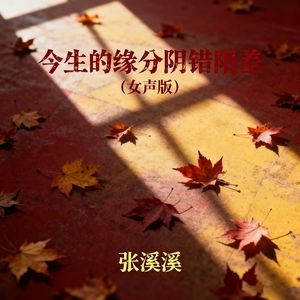 今生的缘分阴错阳差(女声版)