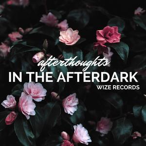 Afterthoughts in the Afterdark