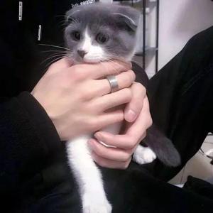 WuWu第二版_缩混