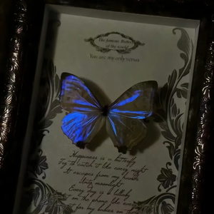 "FREE" Beat - 梦幻蓝蝴蝶