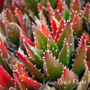 Loiw Orbit Flight