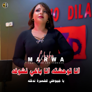 Ana Twahachteh Ana Baghi Nchofah (Ya jibhouli Lel chambre Nd5lou)