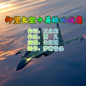 仰望长空中英雄的战鹰