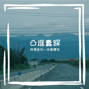 张剿菜弊苫诵欢