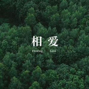 深爱的人就像沼泽（爱情公寓语录）