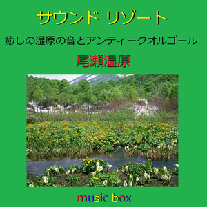 時の描片～トキノカケラ～ （尾瀬湿原とアンティークオルゴール）