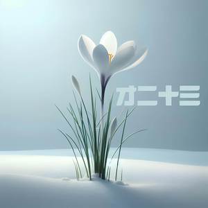 才二十三 Twenty Three