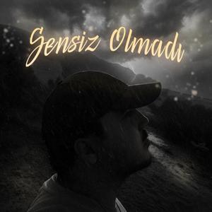 Sensiz Olmadı