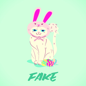 Fake