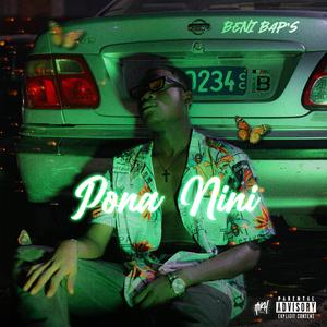 Pona Nini