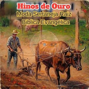 A Moeda Perdida que Deus Fez Encontrar (sertanejo evangélico)