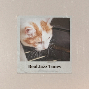 Chocolate Ice Cream Cone