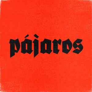 Pájaros