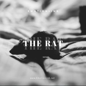 The Rat