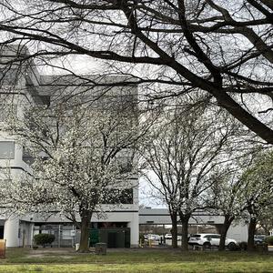 tell me all ur secrets