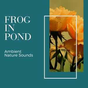 Assemble into the Ocean