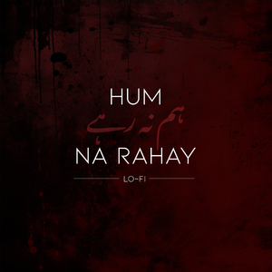 Hum Na Rahay (Lo-fi Version)