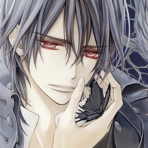 养只猫（翻片段