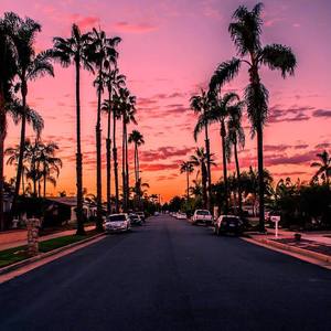 ''LIl Money''夏日伴奏