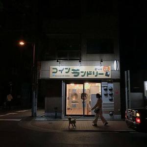 晴天（抖音女生版）（翻自 梅西喝水对我笑）